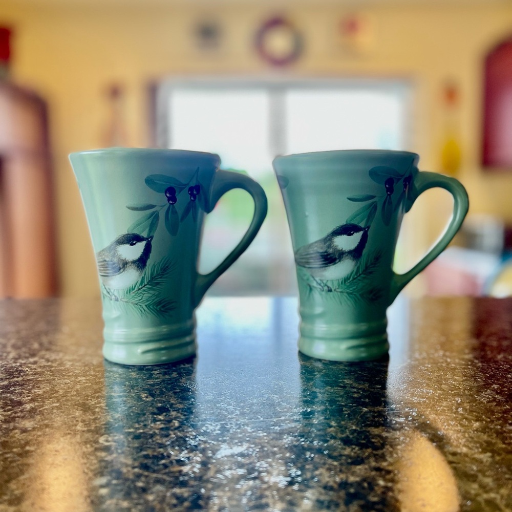 ✅ 2 Pfaltzgraff Mugs ✅